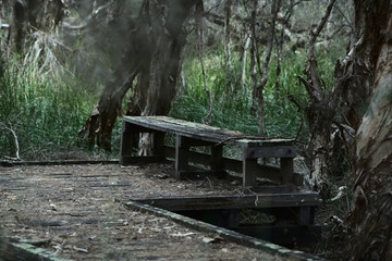 A run down boardwalk running through a dark wetland area. Dark and isolated this gave off a very eerie vibe.