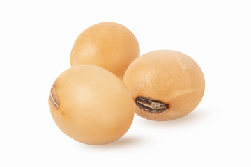 Soybeans seed isolated on white background.closeup