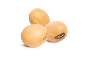 Close up Soy beans isolated on white background.