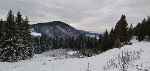 snow covered mountains