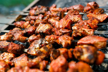 Tasty, juicy, delicious grilled skewers are fried on the grill. Fragrant pieces of red meat are put on a skewer and fried on the grill.