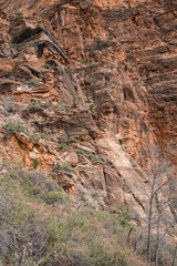 Zion Nationalpark
