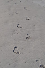 Footprints in the Sand