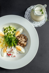 Ingredients for Russian Cooking Okroshka