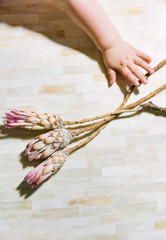 Toddler hand reaching for pink protea flowers on tiled surface