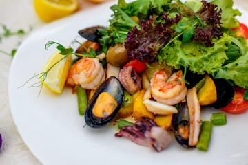 fresh seafood salad with mussels, shrimps, octopus with greens, healthy food