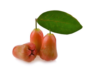 Rose apple on white background