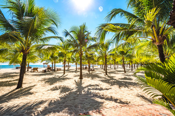 Fototapeta na wymiar Coastal Scenery of The Long Beach on Phu Quoc Island, Vietnam, a Popular Tourism Destination for Summer Vacation in Southeast Asia, with Tropical Climate and Beautiful Landscape.
