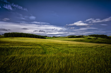 Obraz na płótnie Canvas Scenic View Of Agricultural Field Against Sky