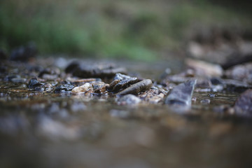 A river with clear water and various stones in it