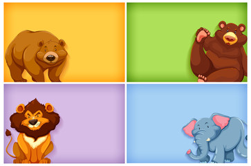 Background template design with plain color and many animals
