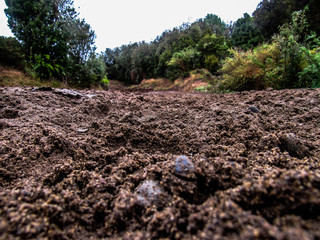 camino de tierra