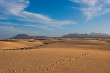 Obraz na płótnie Canvas Ripples on sand dune near Corralejo with volcano mountains in the background, Fuerteventura, Canary Islands, Spain. October 2019