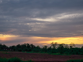 sunset over the field