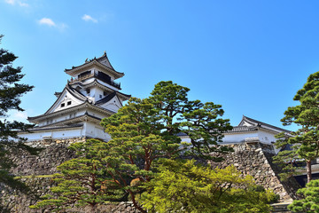 Fototapeta premium 日本１００名城 春の高知城