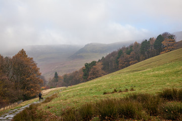 Mountains, Fields and Forests, Edale, Peak District, England, UK