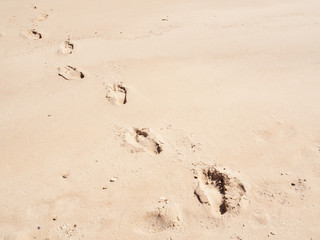 Human steps on yellow sand, close up view. Photographed in egyptian beach in february. Selective soft focus. Blurred background