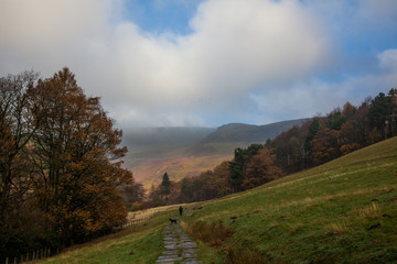Mountains, Fields and Forests, Edale, Peak District, England, UK
