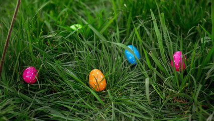 Multi colored Easter eggs scattered around in the grass