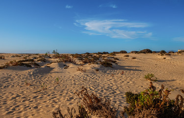 Ripples on sand dune near Corralejo with volcano mountains in the background, Fuerteventura, Canary Islands, Spain. October 2019