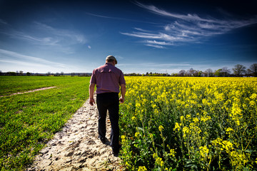 Landwirt begutachtet gelbe Blüten im blühenden Rapsfeld im Frühjahr