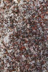 Stone Texture Natural Macro Granite Rust Dark and white