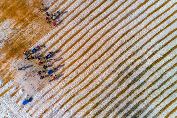 Aerial view of salt field at Ca Na, Ninh Thuan, Vietnam.