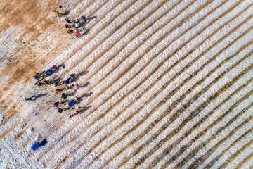 Aerial view of salt field at Ca Na, Ninh Thuan, Vietnam.