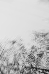 Black and White Motion Blur textured background