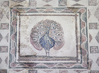 Peacock mosaic on the floor of villa Dionysos. Paphos Archaeological Park. Cyprus
