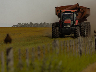 tractor in a field