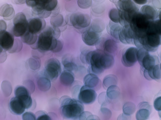 abstract background with bubbles bokeh background. concept blur cells bacteria microscope, virus