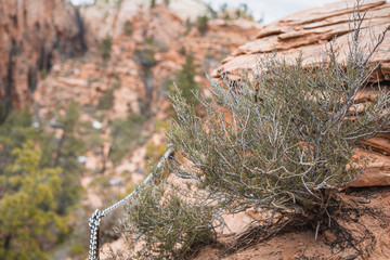 Zion Nationalpark