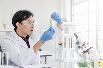 A male scientist with black hair wearing white coat and protective glassware holding a test tube with a green plant sample in a white laboratory or hospital.