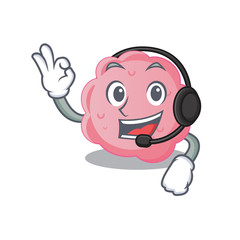 A gorgeous anaplasma phagocytophilum mascot character concept wearing headphone