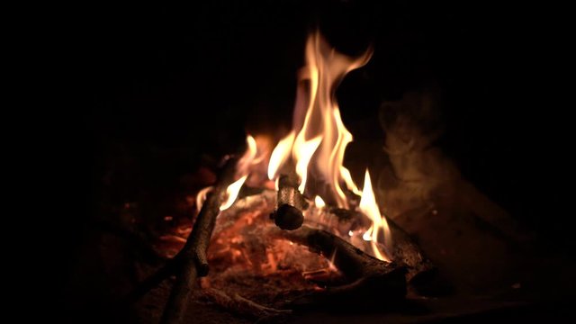Slow motion video of a campfire burning at night