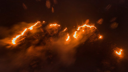 11.04.2020 - Massive fire in Ukraine forest, Rivne region. Editorial. 