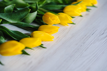 Row of yellow tulips on white rustic wooden background with space for message. Concept Hello Spring flowers. Holiday greeting card for Valentine's, Women's, Mother's Day, Easter! Side view.