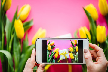 Female taking pictures with cell smartphone camera: Tulips with gift box on pink background. Flowers concept. Holiday greeting card for Valentine's, Women's, Mother's Day. Birthday. Place for text.