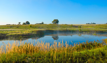 landscape with lake and trees