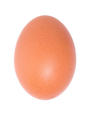 Single egg  isolated on a white background.