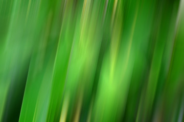 Fototapeta na wymiar Colourful abstract and blurred background.