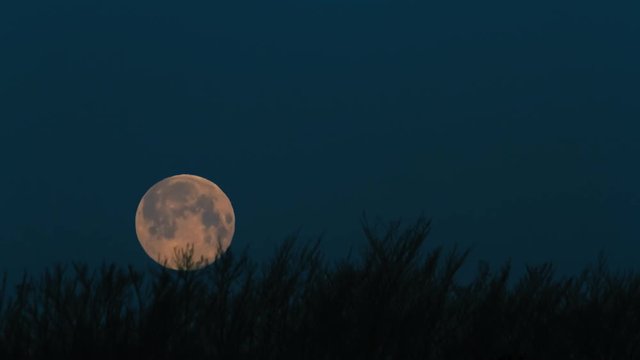 Full moon setting over the horizon in an early morning. Ten second 4k time lapse.