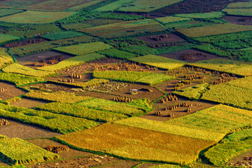 Fototapeta premium Rice and rice field in Trung Khanh, Cao Bang, Vietnam. Landscape of area Trung Khanh, Cao