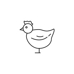 Chicken outline easter icon over white