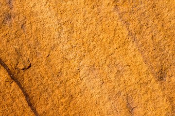 close up of a fur texture