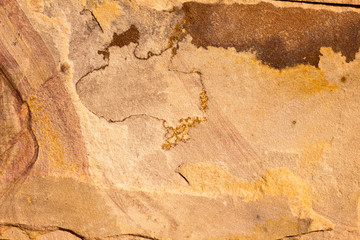 old map of the world