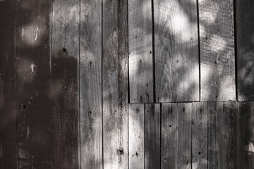 Abstract gray wooden background. Shadows of trees fall on an old wooden surface. Wall of old painted boards. Textured background. Horizontal, cropped shot, gray tinted.