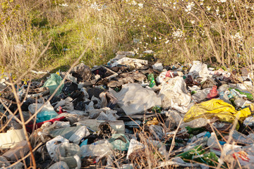 загрязнение окружающей среды. Мусорная свалка возле жилых домов