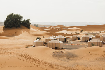 Contemporary luxury glamping camp in Morocco Sahara desert. Sand dunes around. Many white modern...